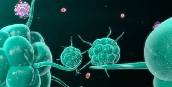 昆明国家高新区发布