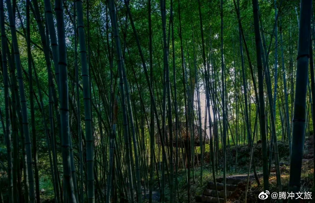 腾冲文旅微博