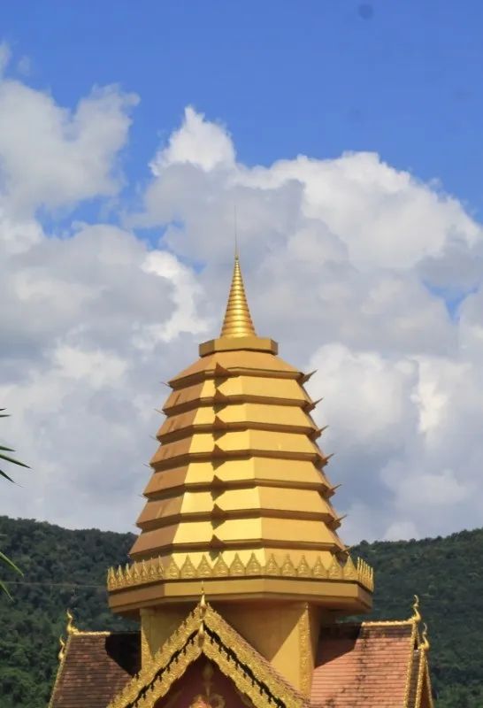 西双版纳望天树景区
