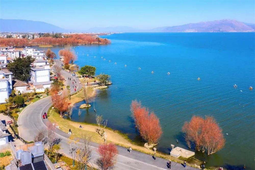 云南省文化和旅游厅