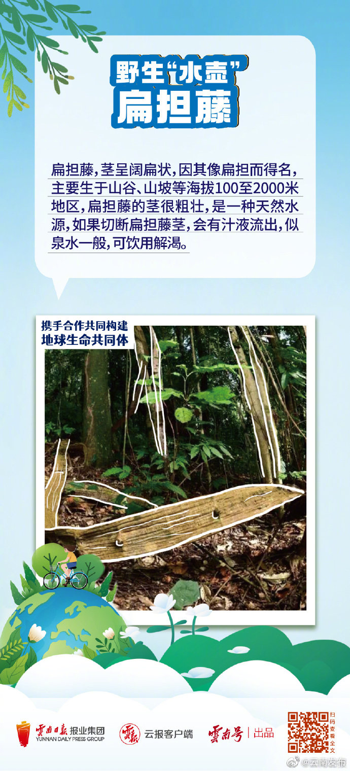 “云南发布”微博