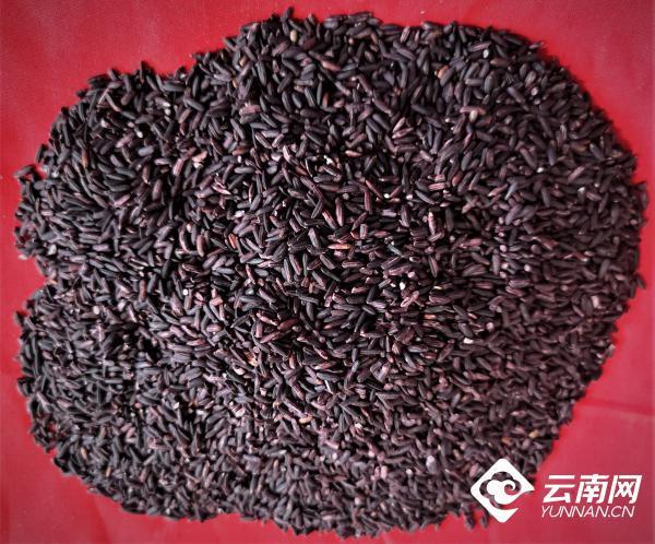 云南省文化和旅游厅