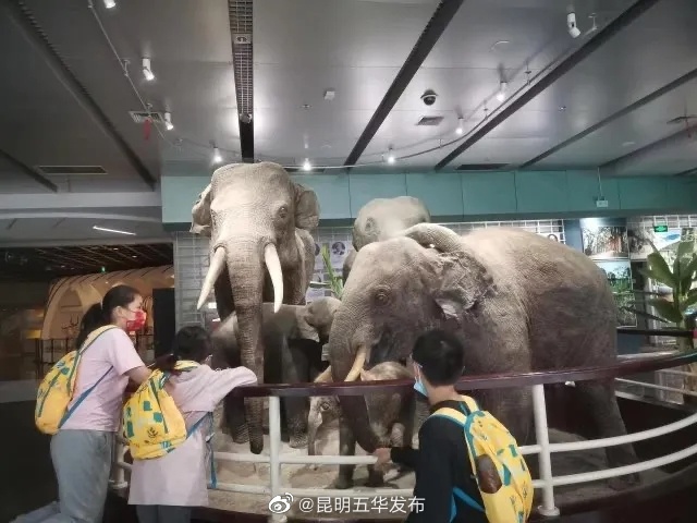 “昆明五华发布”微博