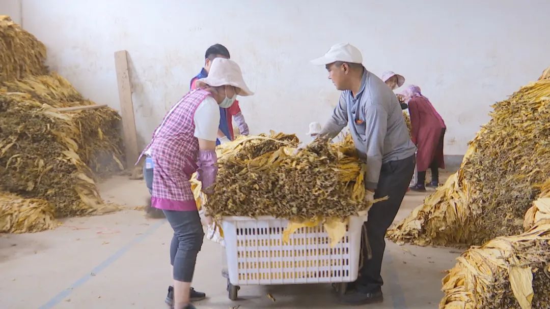 悦读嵩明