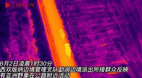 掌上春城
