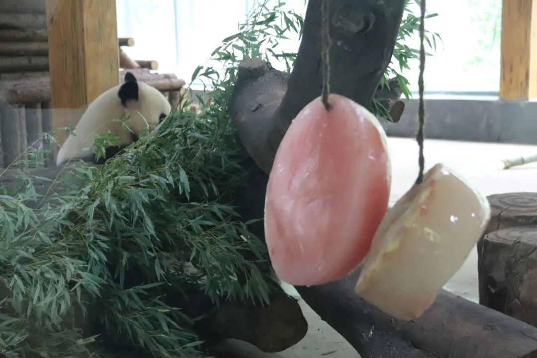 云南野生动物园