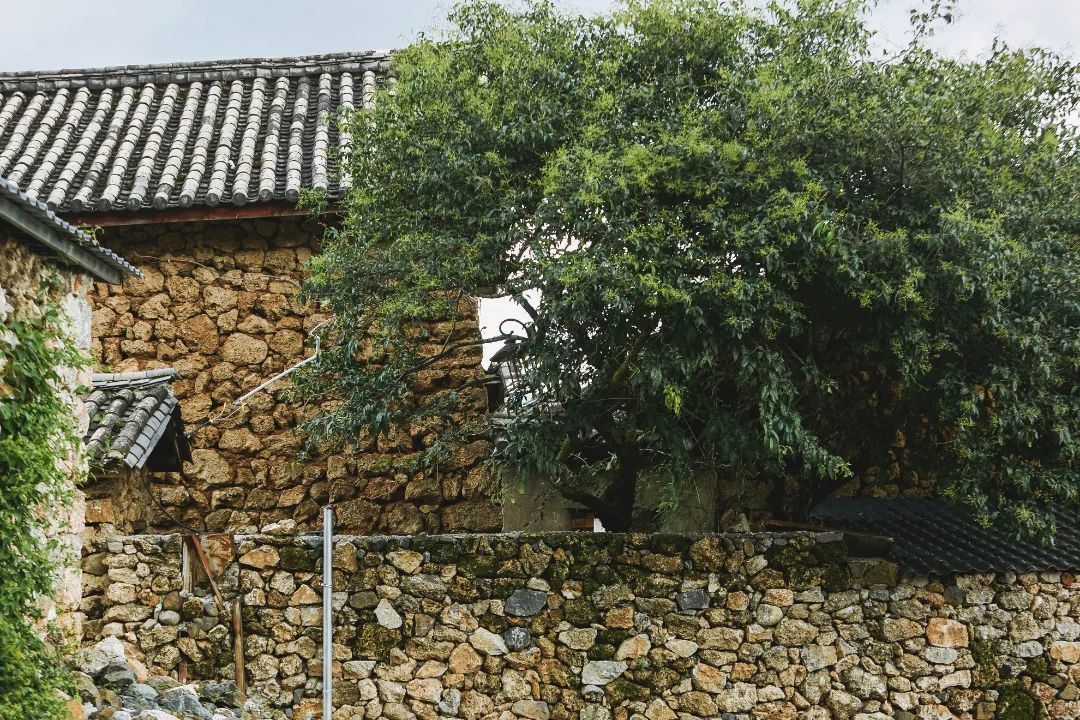 云南省文化和旅游厅