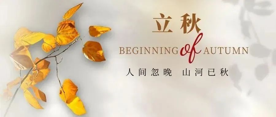 微观盘龙