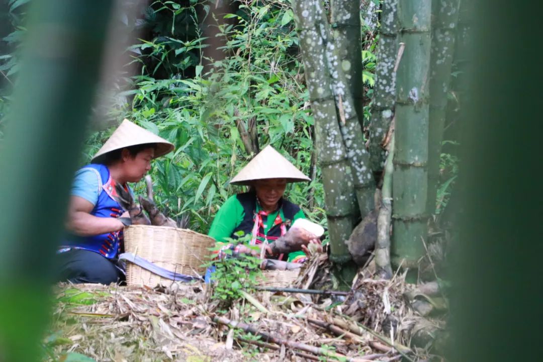 保山新闻网