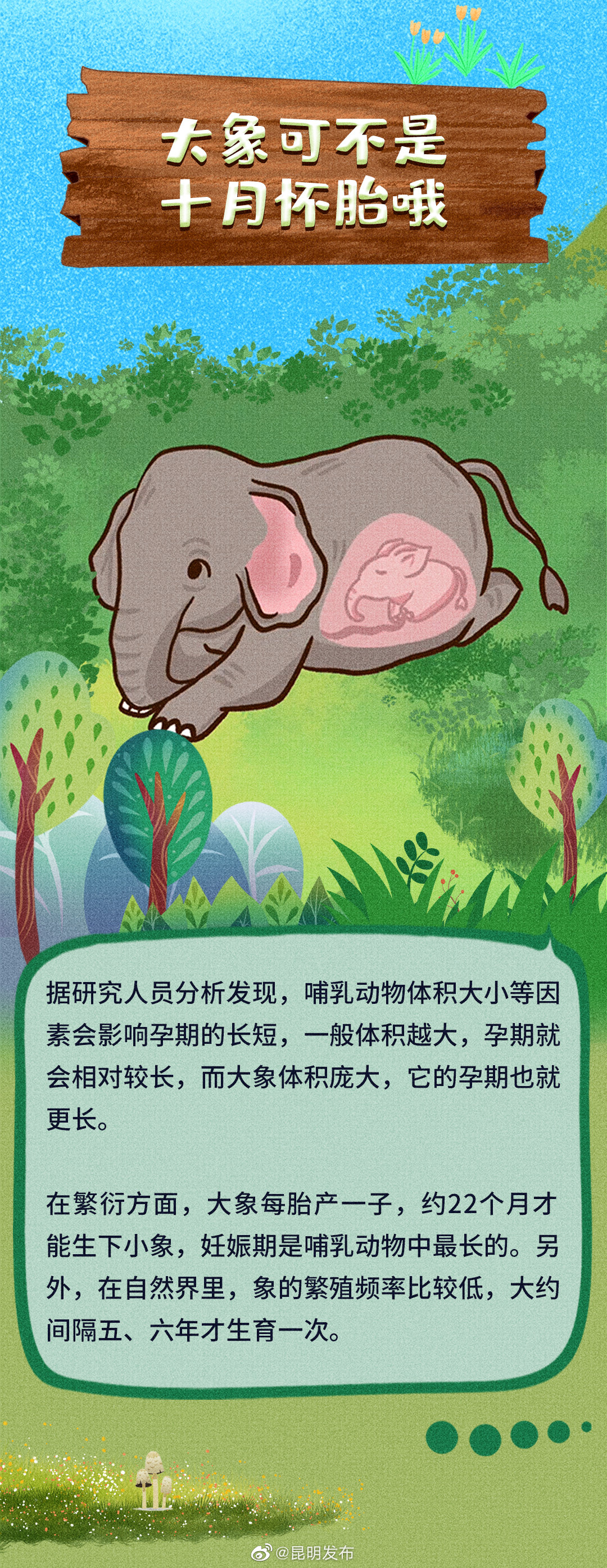 昆明发布