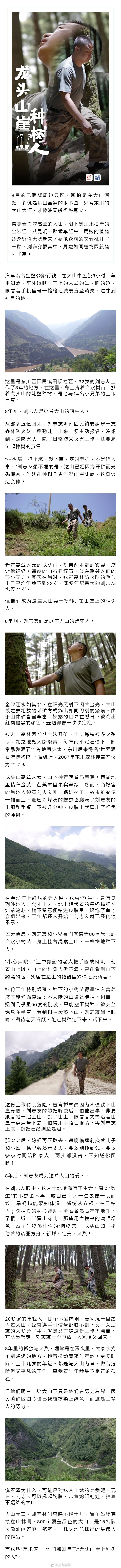“生态治理的因民坚守”系列报道 | 龙头山崖种树人