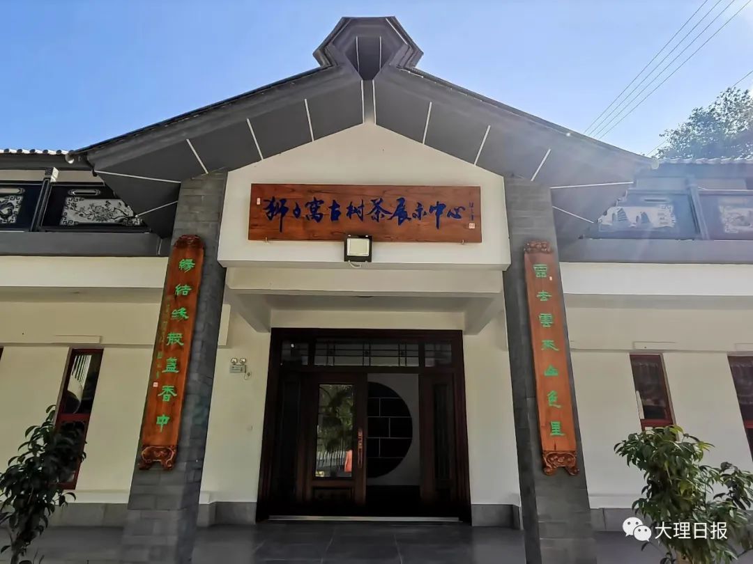 大理日报