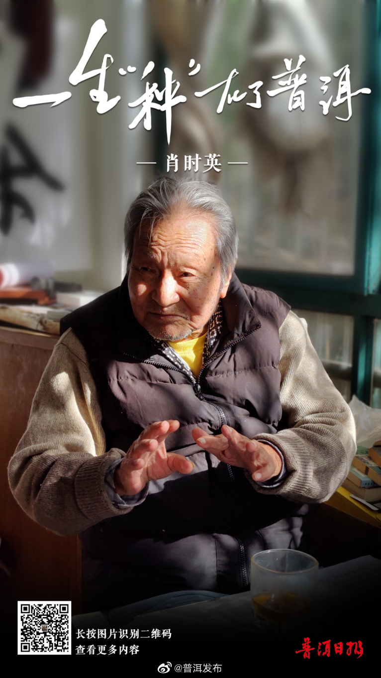 追忆“大国茶匠”肖时英︱一生“种”在了普洱