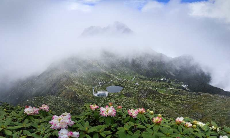 云南省文化和旅游厅