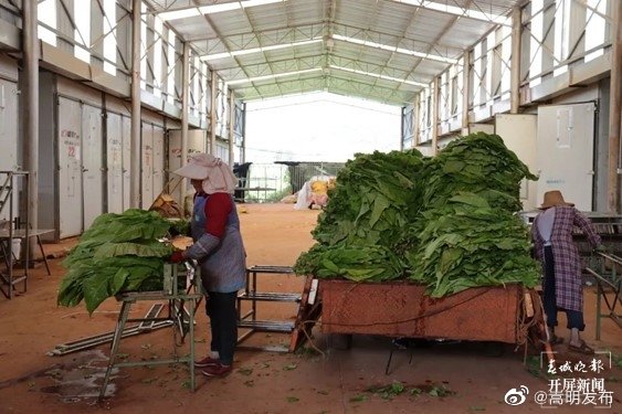 嵩明发布