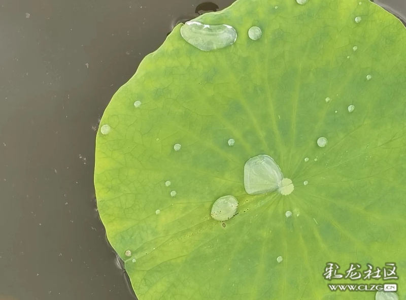 新华网云南频道