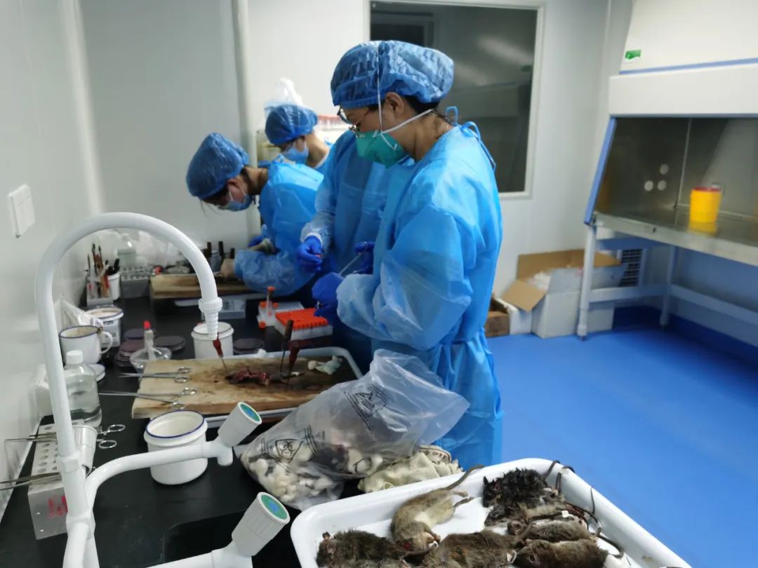 健康腾冲