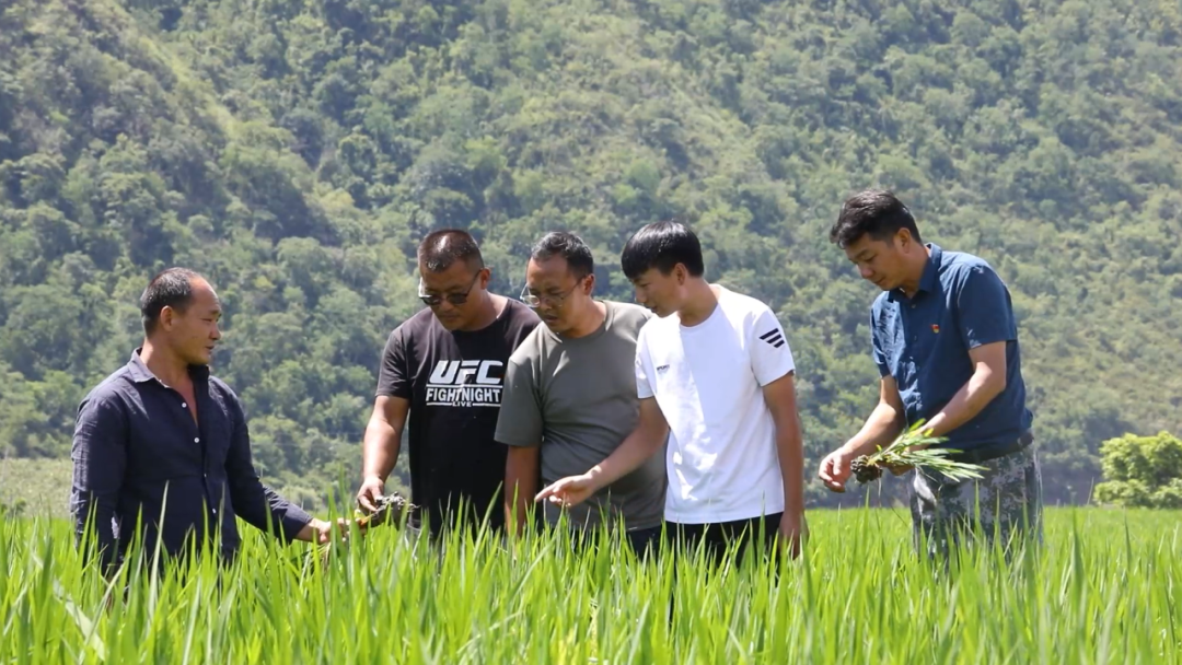 保山新闻网