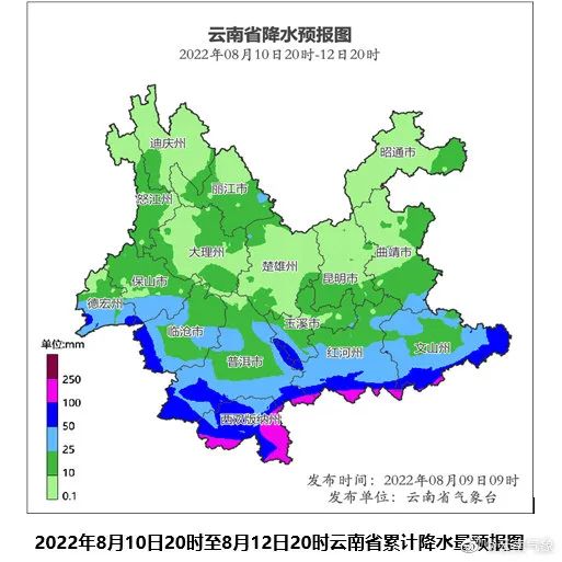 云南信息报