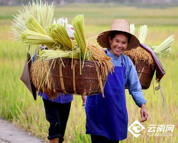 云南省文化和旅游厅