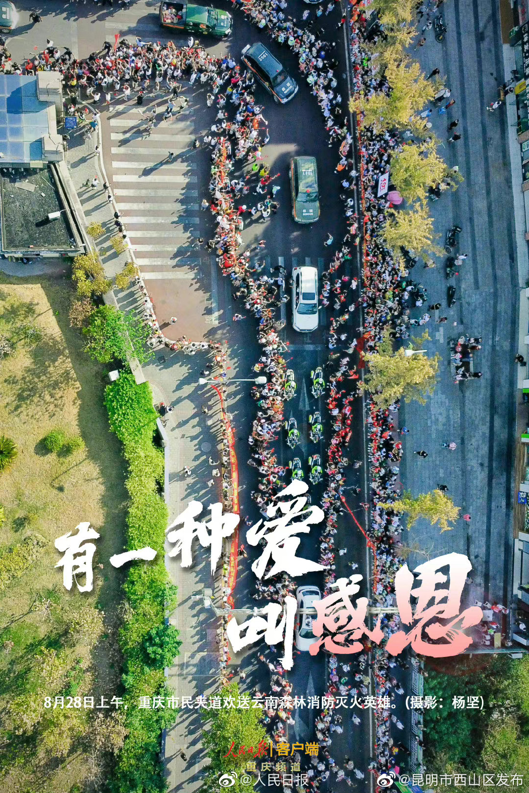 昆明市西山区发布