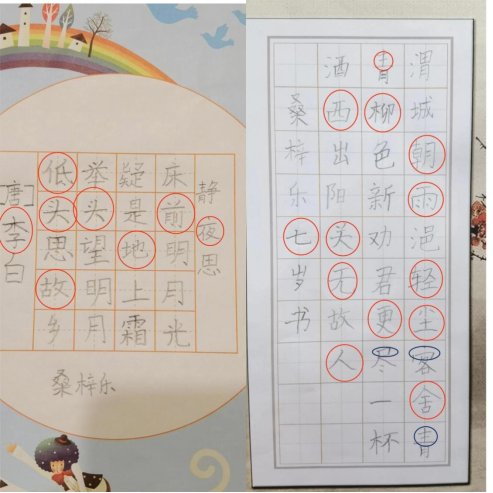 盘龙教育(微信)