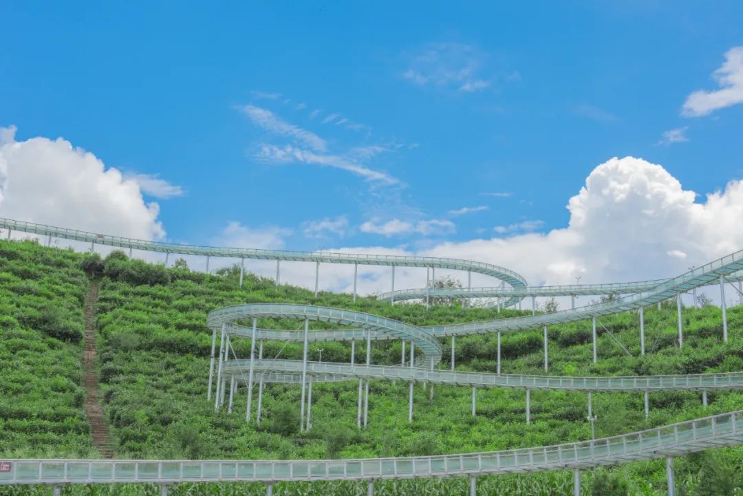 保山新闻网