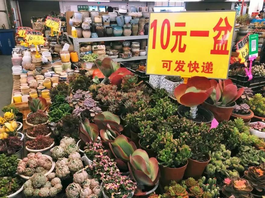 昆明文旅