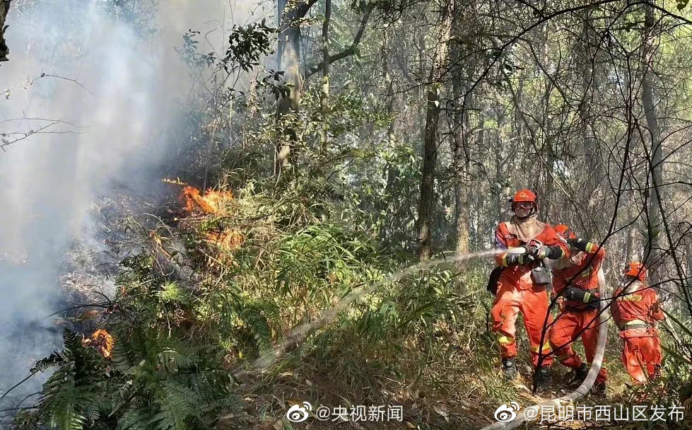 昆明市西山区发布