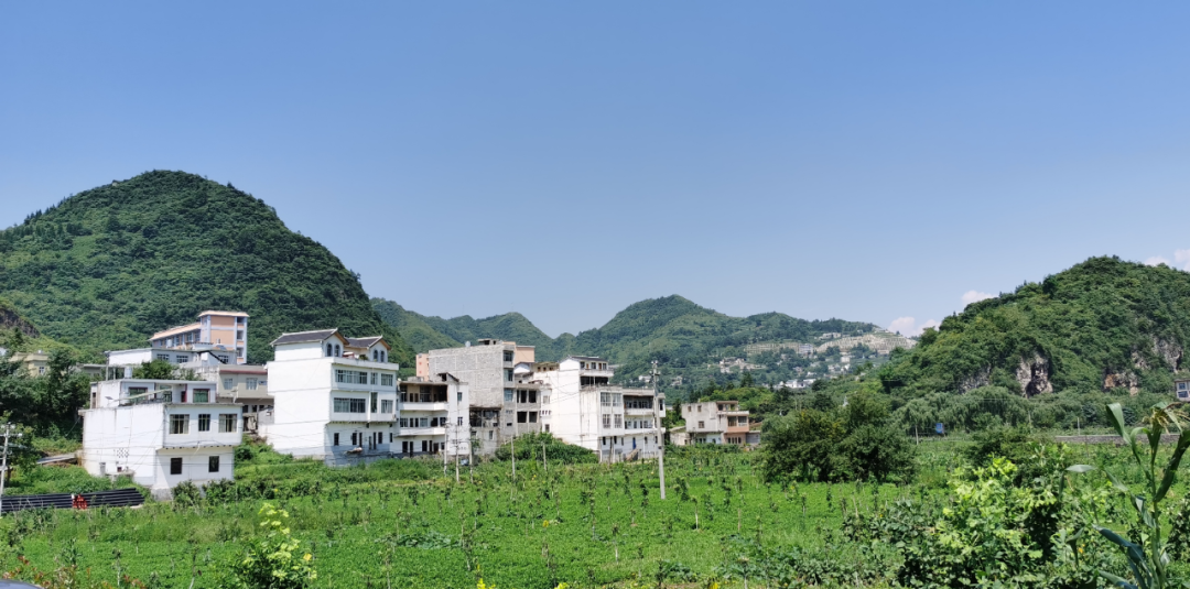 云南省人民政府网