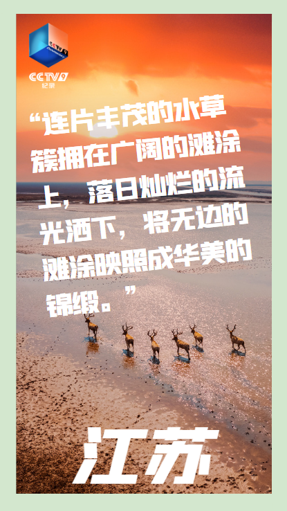 918云南交通台(微信)