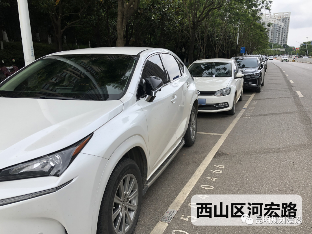 掌上春城