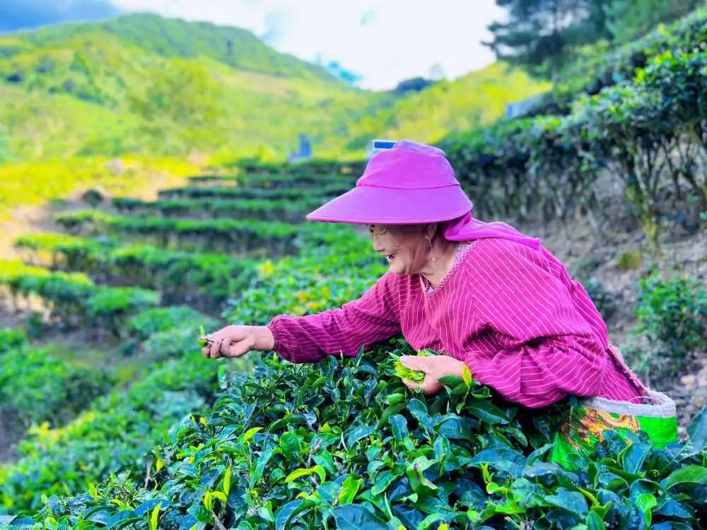 玉溪发布