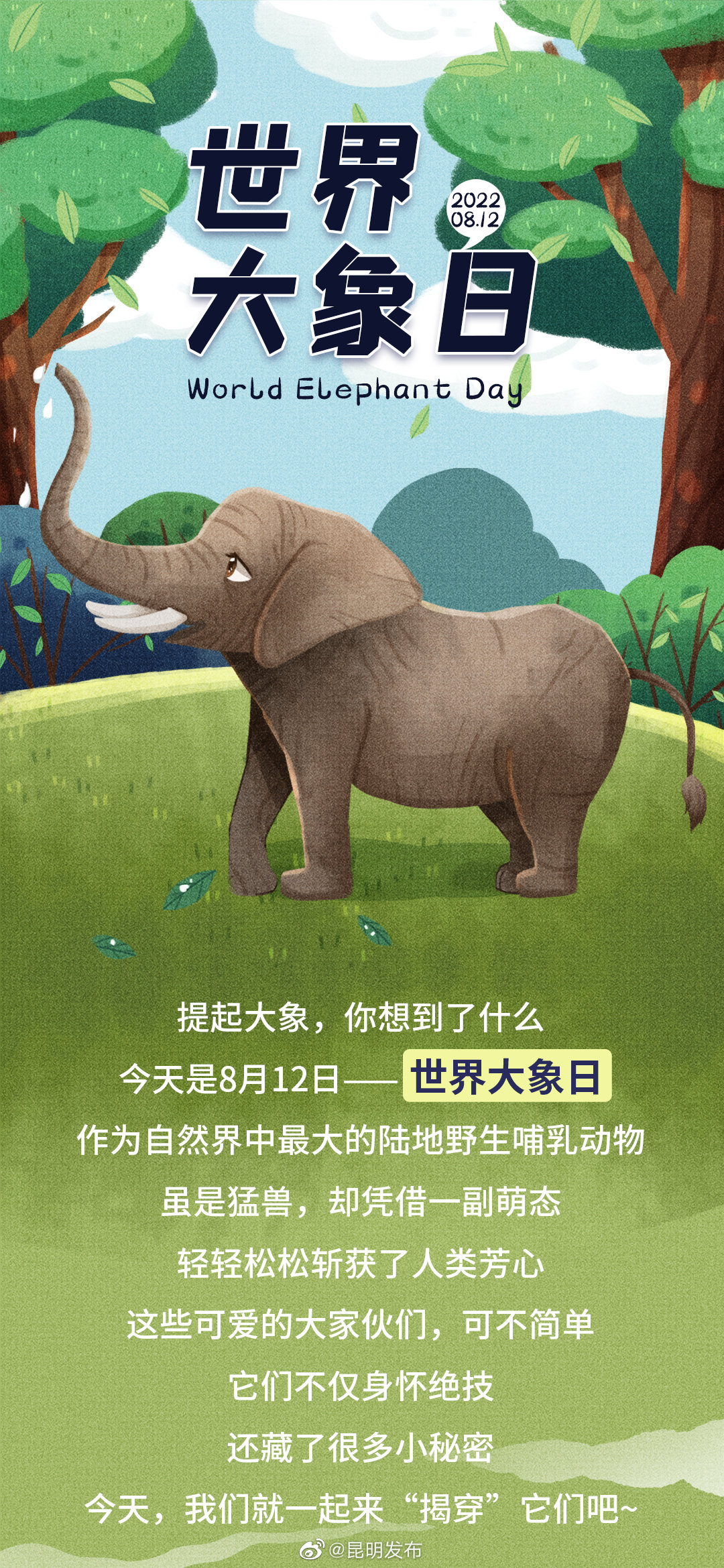 昆明发布