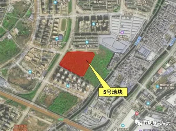 云南信息报