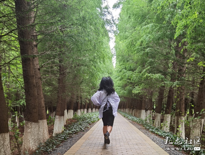 新华网云南频道