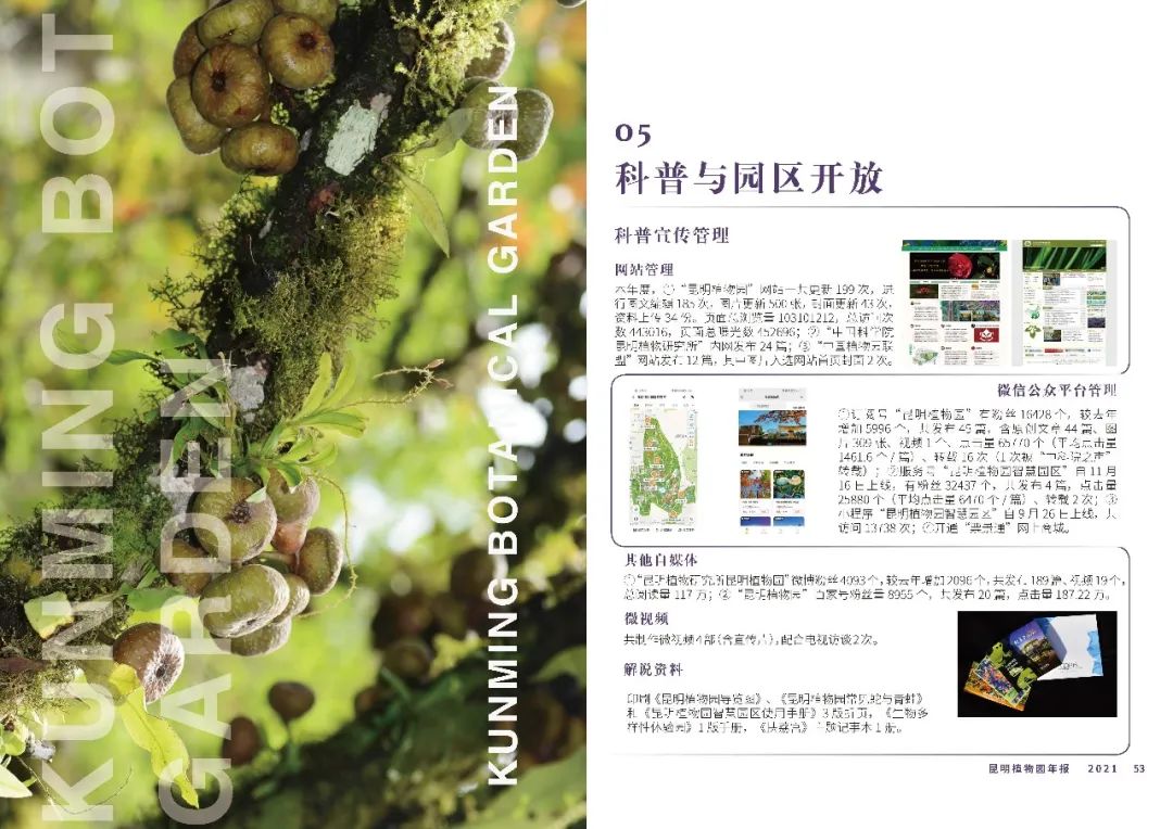 昆明植物园