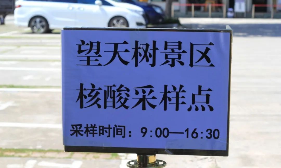 西双版纳望天树景区