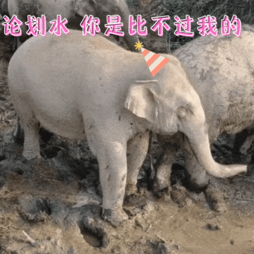 普洱日报