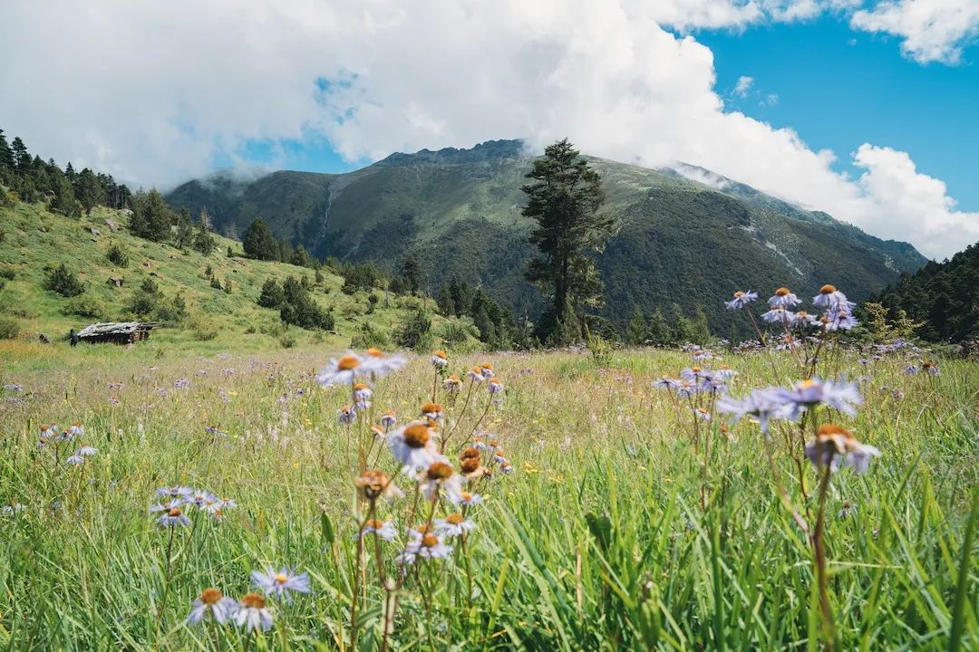 一部手机游云南