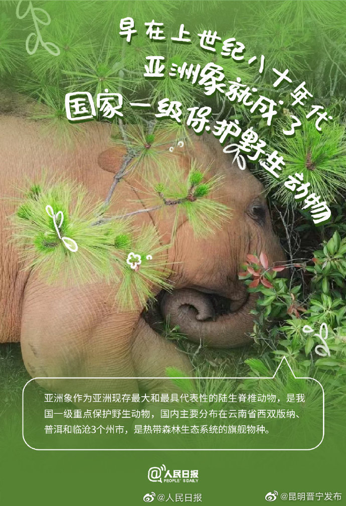 昆明晋宁发布