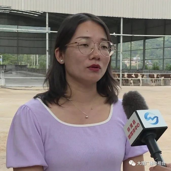 大理电视台