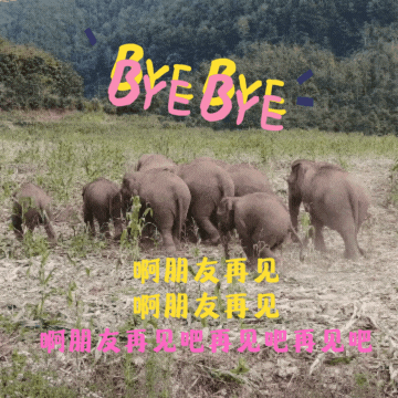 普洱日报