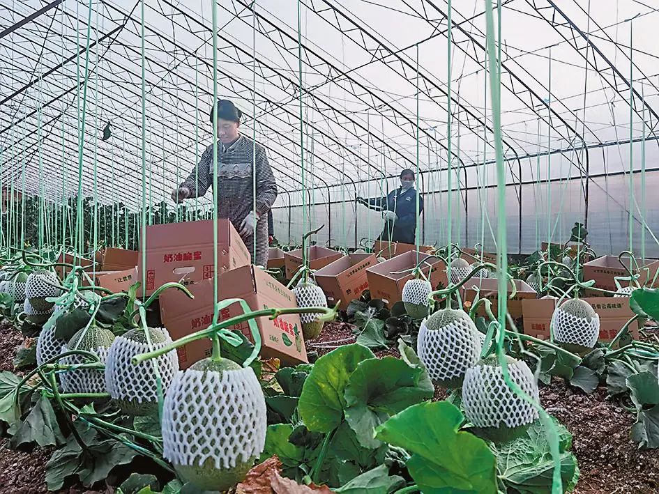 玉溪发布