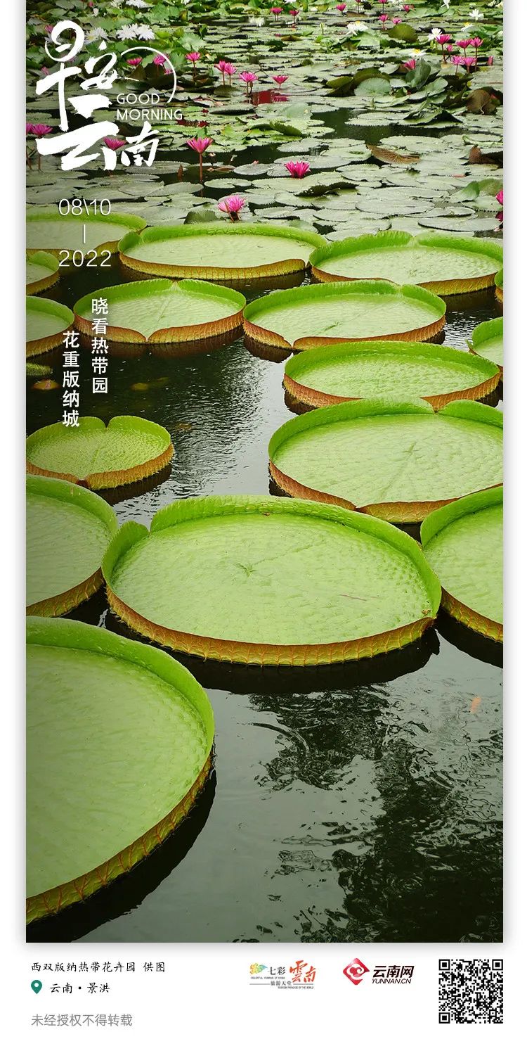 云南省人民政府网