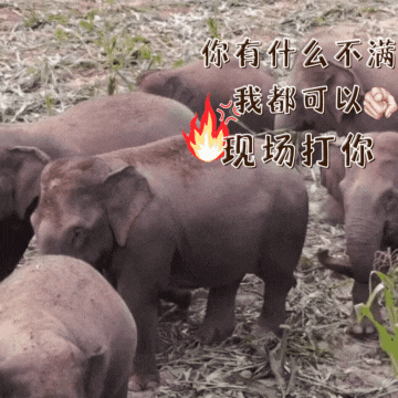 普洱日报
