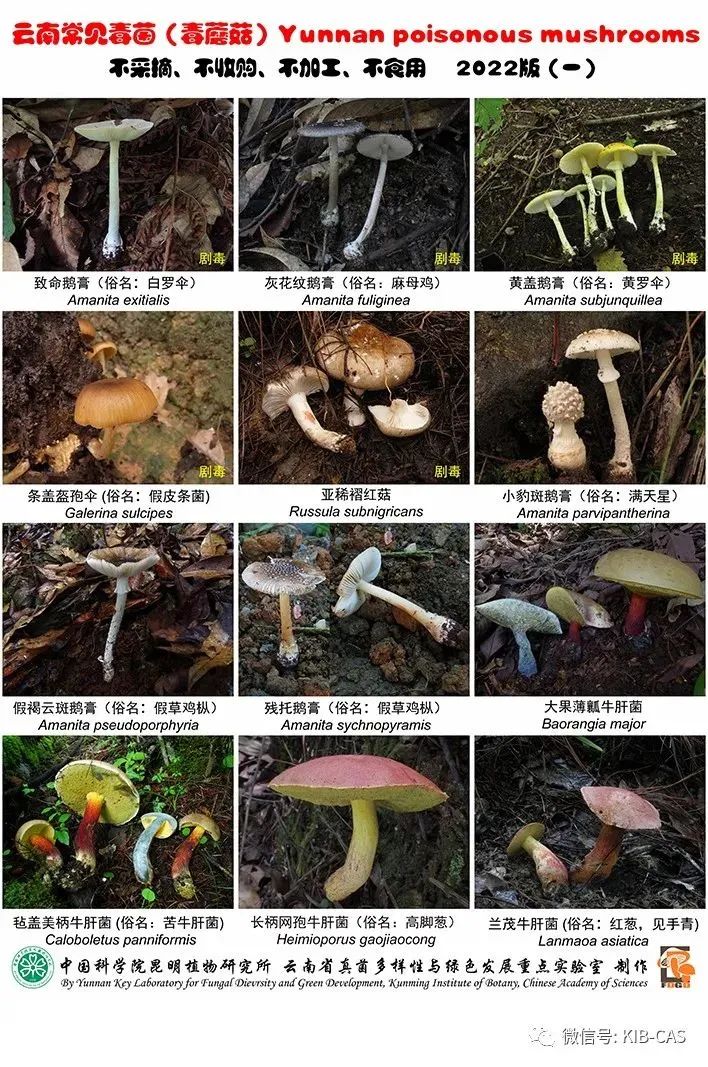 昆明市呈贡区人民法院(微信)