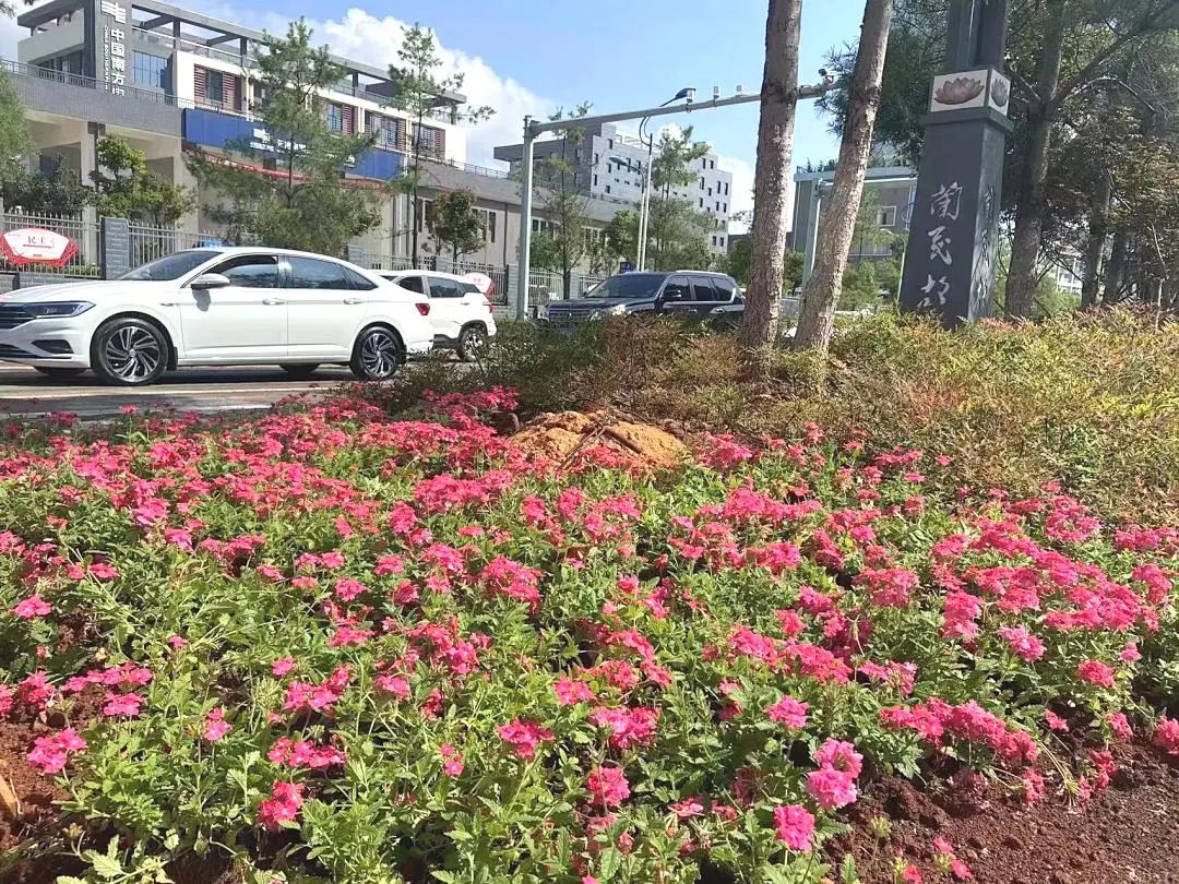 悦读嵩明