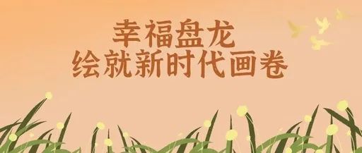 微观盘龙