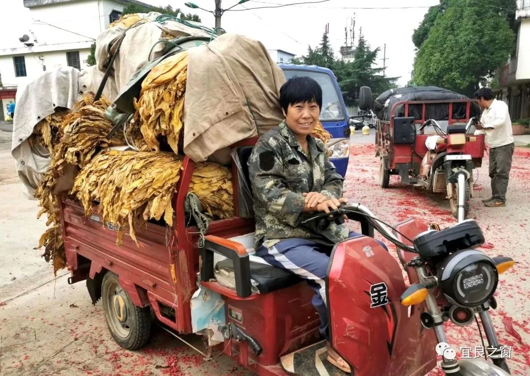宜良之窗